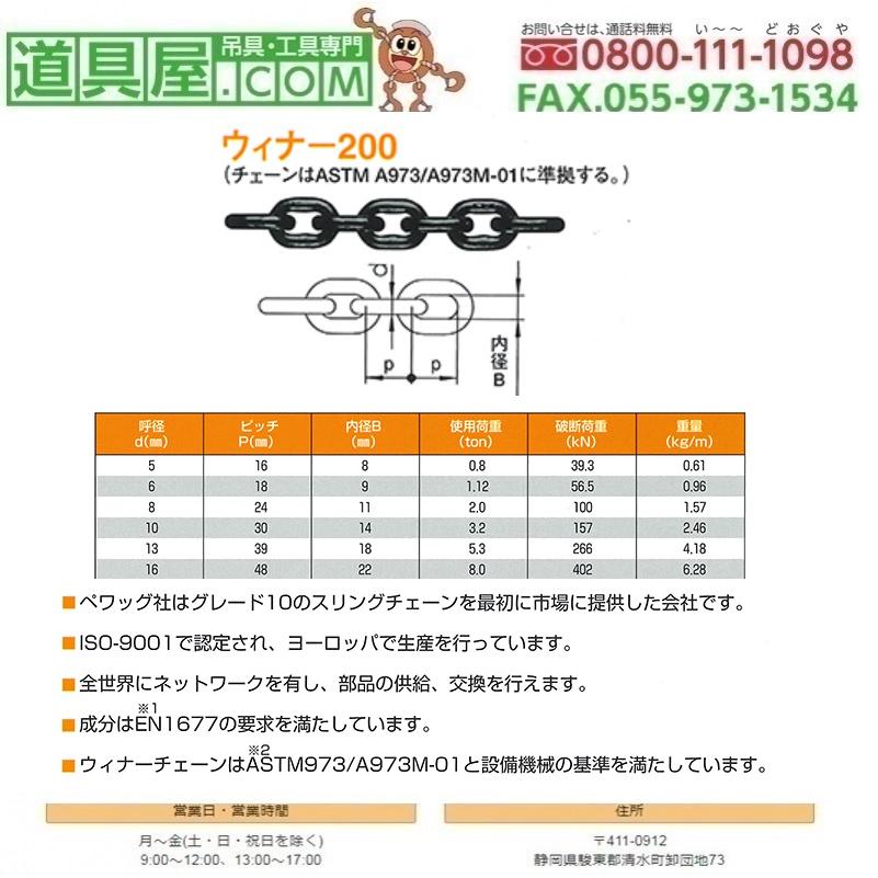 新品 【ペワッグ】2本吊りチェーンスリングセット8mm×2mの+aethiopien