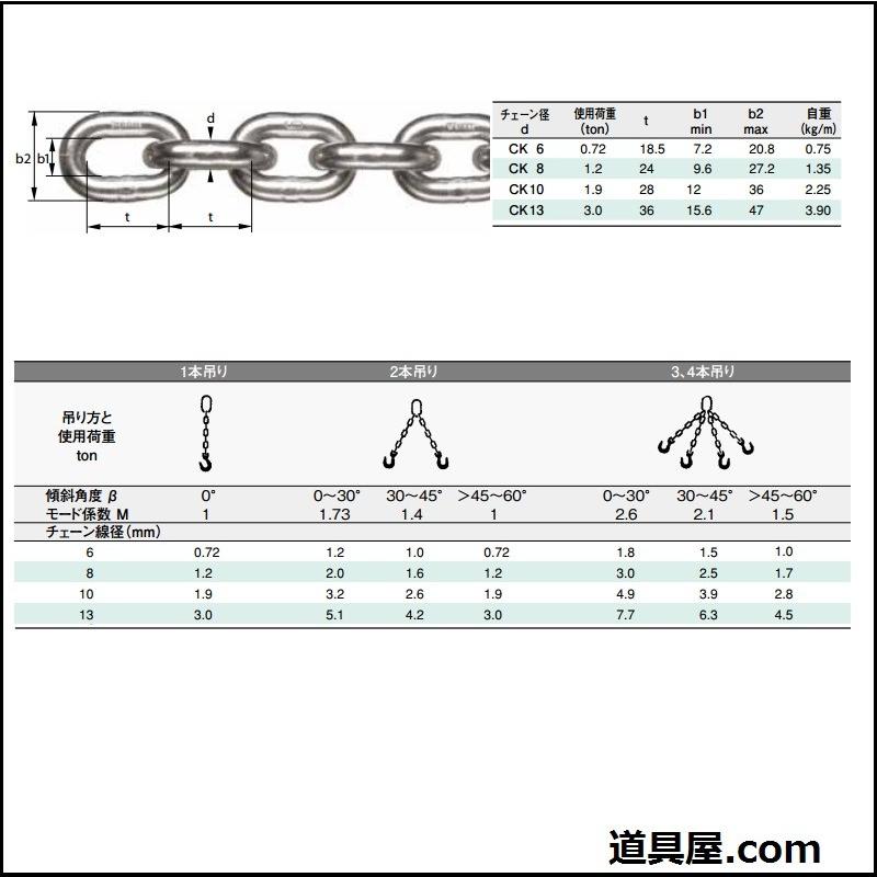 RUD　ワルダー　ステンレス製一本吊りセット　チェーン長さ1m　使用荷重1.9T