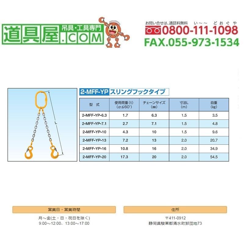 象印 スリングフック付き2本吊りセット 使用荷重2.7t : 78485369 