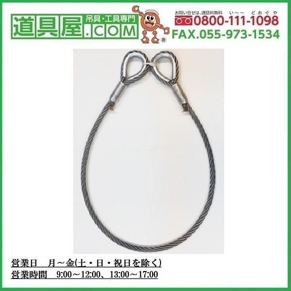 玉掛けワイヤー 2本組 片シンブル・片アイ メッキ 22mmx2.5m 玉掛けワイヤー 2本組 片シンブル・片アイ メッキ 22mmx2.5m