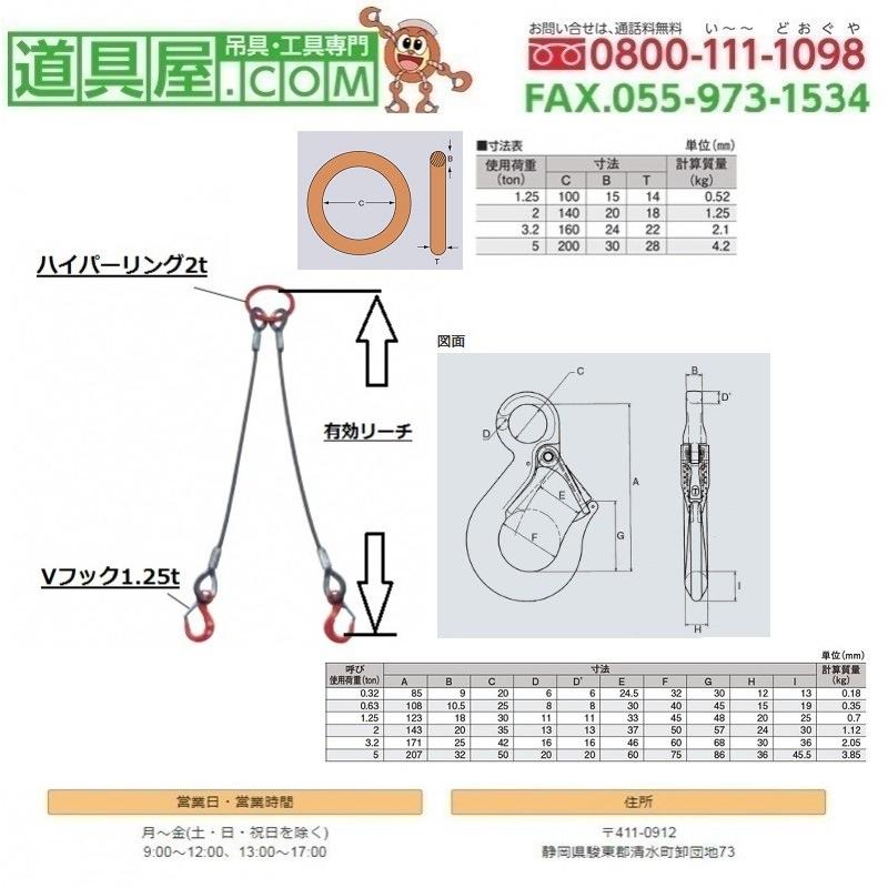 2本吊 ワイヤスリング 径14mm 基本使用荷重2.0T用 有効リーチ2.5m 固定