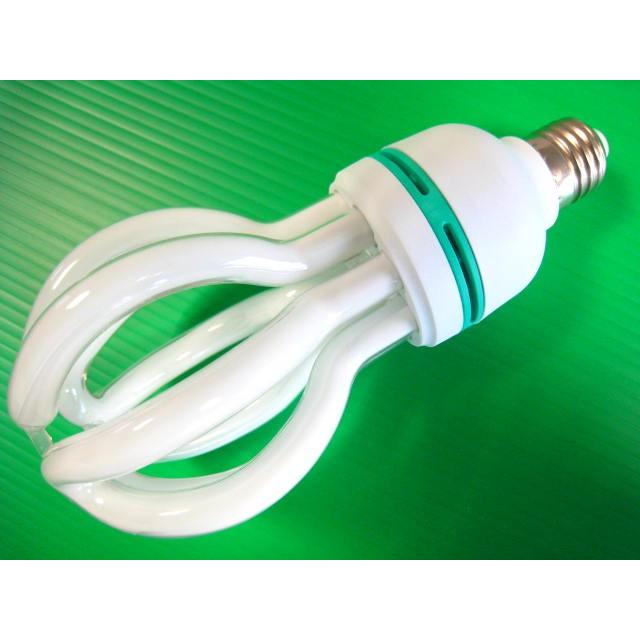 ウイングエース　蓮型蛍光灯球　ロータス40　40W110V　KE−L40 |  | 01