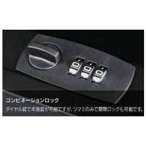 福彫 デザインポスト スムースプラス PSMP-G グレー 【代引き不可