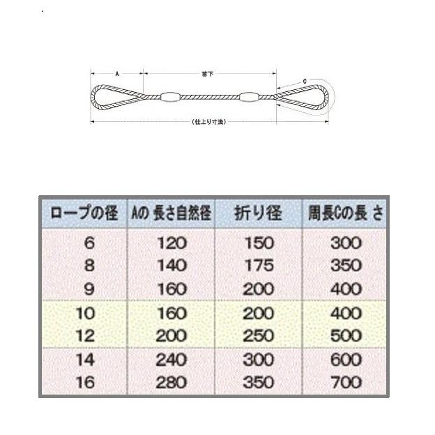 Wスリング 玉掛ワイヤー 径9mm×長5.0m JIS規格ワイヤーロープ使用
