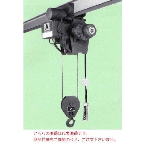 専門ショップ 普通形ホイスト 日立 直送品 中 軽頻度の作業ニーズに適しています Aシリーズ 電動トロリ付 2ham At75 12m 2t 揚程 電動工具 Macpersonalcare Com