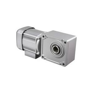 高級感 三菱 Mitsubishi ギヤードモーター Gm Shymb Rh 0 2kw 1 10 1 10 100 本物保証 Www Skylanceronline Com