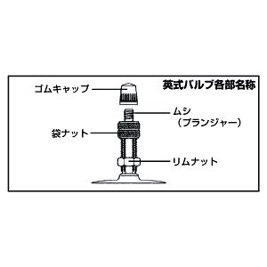 パナレーサー Panaracer 英式 チューブ H/E 20x1.50 英式 バルブ 日本製｜doujimabuhin｜02