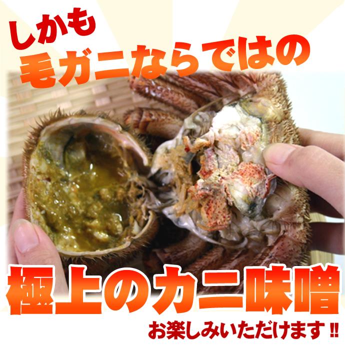 訳あり ボイル 毛ガニ 1kg詰 送料無料 沖縄は送料別途加算 歳暮