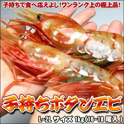ぼたんえび 子持 名取り草エビ 1kg 貨物輸送無料 沖縄は貨物輸送別途足し加える 花見 GW 新やって行く 魚介類、海産物-その他種類のエビ-食品
