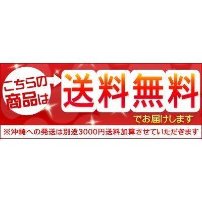 ホタテといえば北海道 片貝ホタテ 小サイズ 30枚セット送料無料沖縄は送料別途加算 御中元 暑中見舞い 残暑見舞い バーベキュー|dousan|02