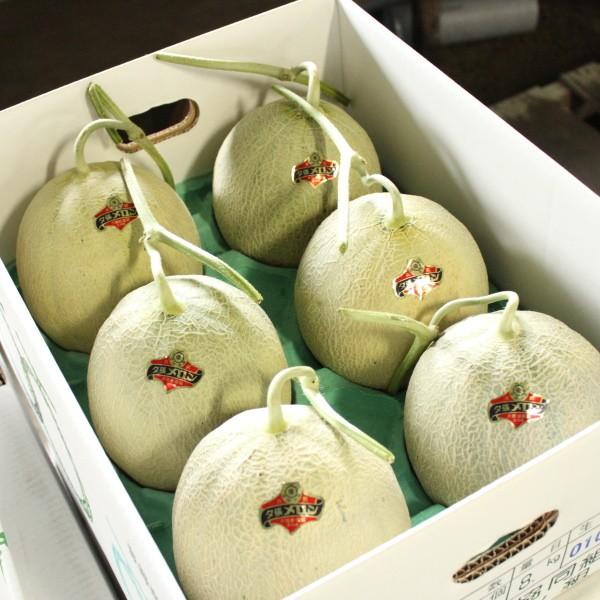 【予約】夕張メロン 送料無料 共撰 優品 中玉 1.2kg前後 6玉 沖縄は送料別途加算 花見 GW 新生活
