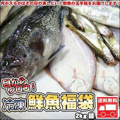 鮮魚を急速冷凍北海道お魚福袋2kg送料無料 御中元 お中元 夏休み バーベキュー キャンプ