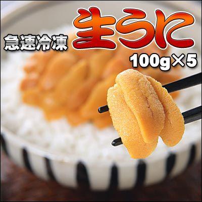 生うに100g×5 送料無料 ※沖縄は送料別途加算 ひな祭り 新生活 ホワイトデー｜dousan