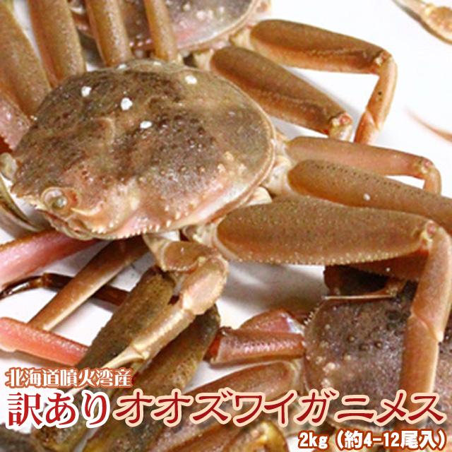 オオズワイガニ メス 活 訳あり 北海道産 2kg(約4−12尾入) 身 オオズワイガニ メス 活 訳あり 北海道産 2kg(約4−12尾入) 身
