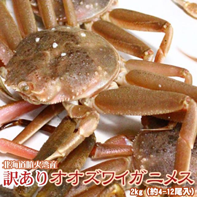 セコガニ 活 北海道産 香箱ガニ せいこ蟹 訳あり 2kg詰 約4-12尾入 身入り7分前後  送料無料 沖縄送料別途加算 ひな祭り 新生活 ホワイトデー｜dousan