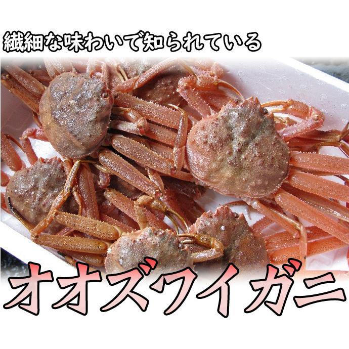 北海道産　活オオズワイガニ　小サイズ10杯と大サイズ2杯 北海道産 活オオズワイガニ 小サイズ10杯と大サイズ2杯の通販はau PAY