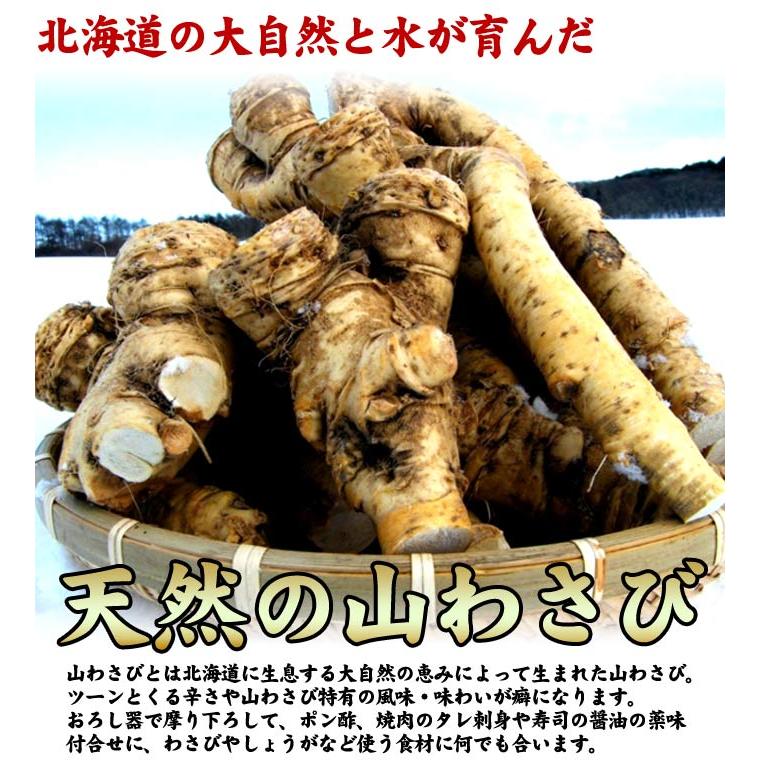 山わさび 北海道産 蝦夷山わさび 西洋わさび 1kg 送料無料沖縄は送料