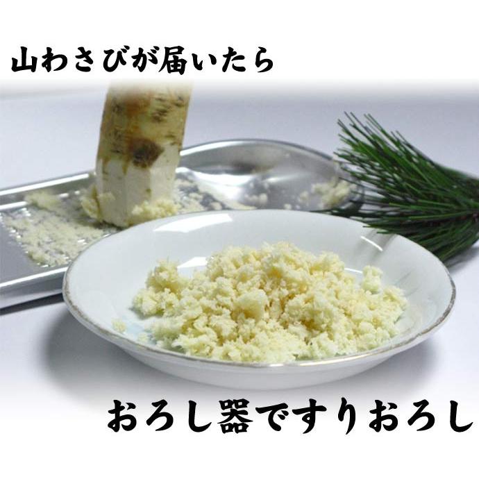 山わさび 北海道産 蝦夷山わさび 西洋わさび 1kg 送料無料沖縄は送料
