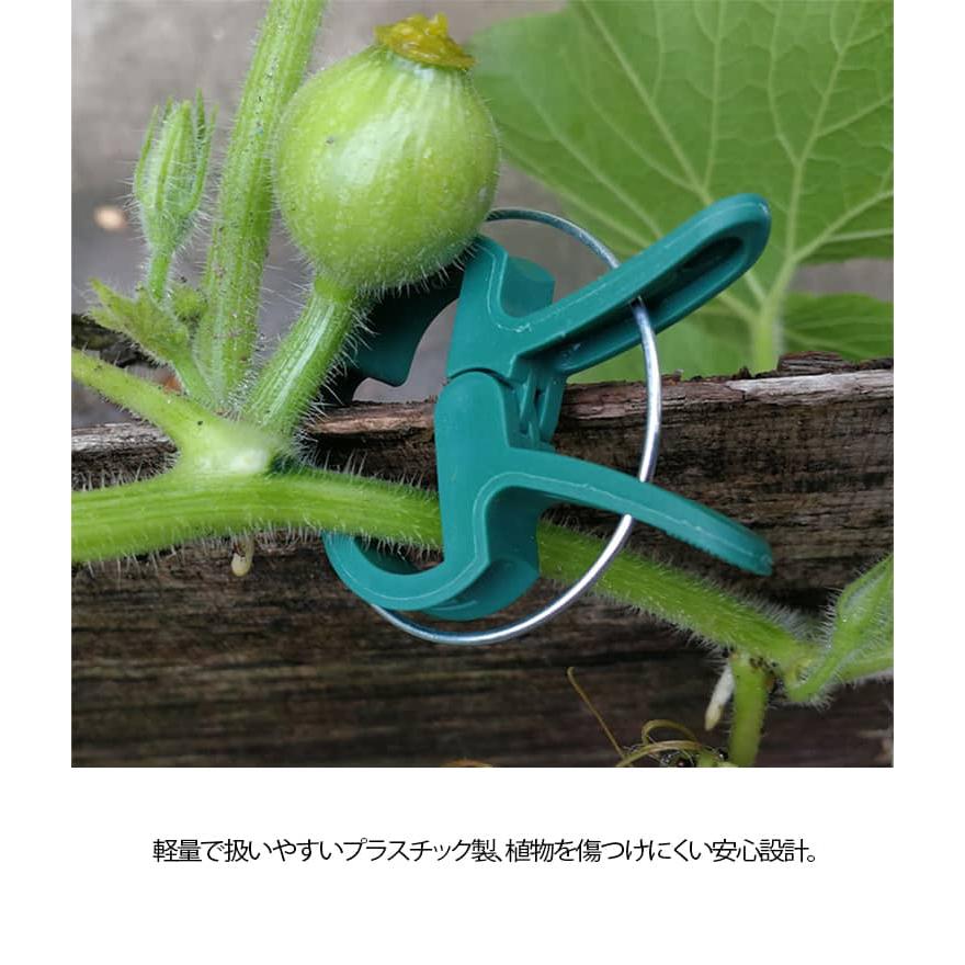 マルチサイズガーデンサポート 農業用品 誘引 誘引クリップ 支柱