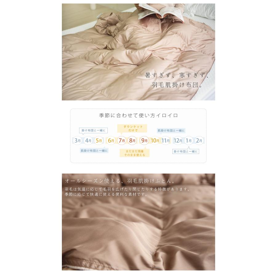 ダウンケット シングル 2枚組 羽毛肌掛け布団 ダウン90％ 羽毛布団 夏