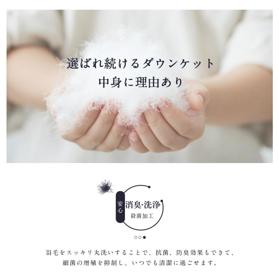 ダウンケット シングル 2枚組 羽毛布団 夏用 ダウン85% 羽毛肌 ダウンケット シングル 2枚組 羽毛布団 夏用 ダウン85% 羽毛肌