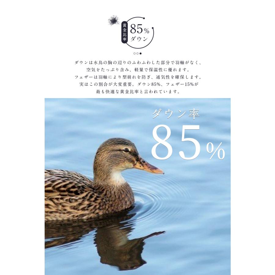 ダウンケット シングル 2枚組 羽毛布団 夏用 ダウン85% 羽毛肌 ダウンケット シングル 2枚組 羽毛布団 夏用 ダウン85% 羽毛肌