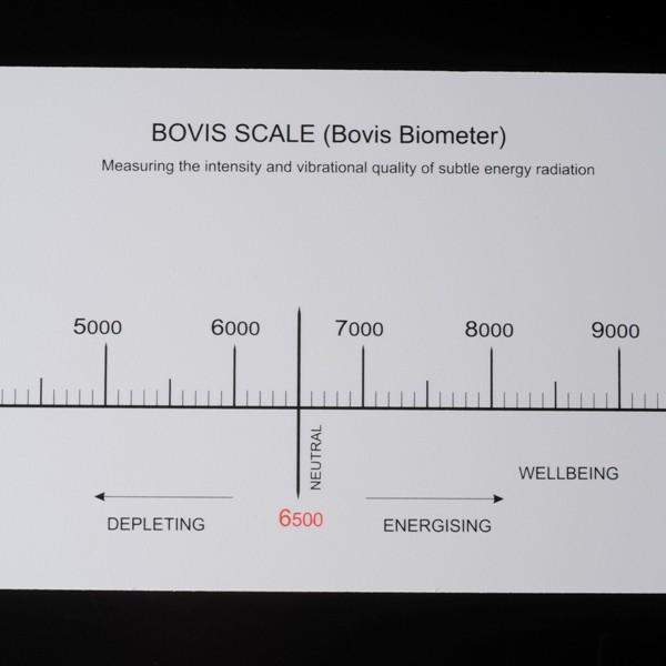 ボヴィススケール（ボヴィスバイオミター） | 
