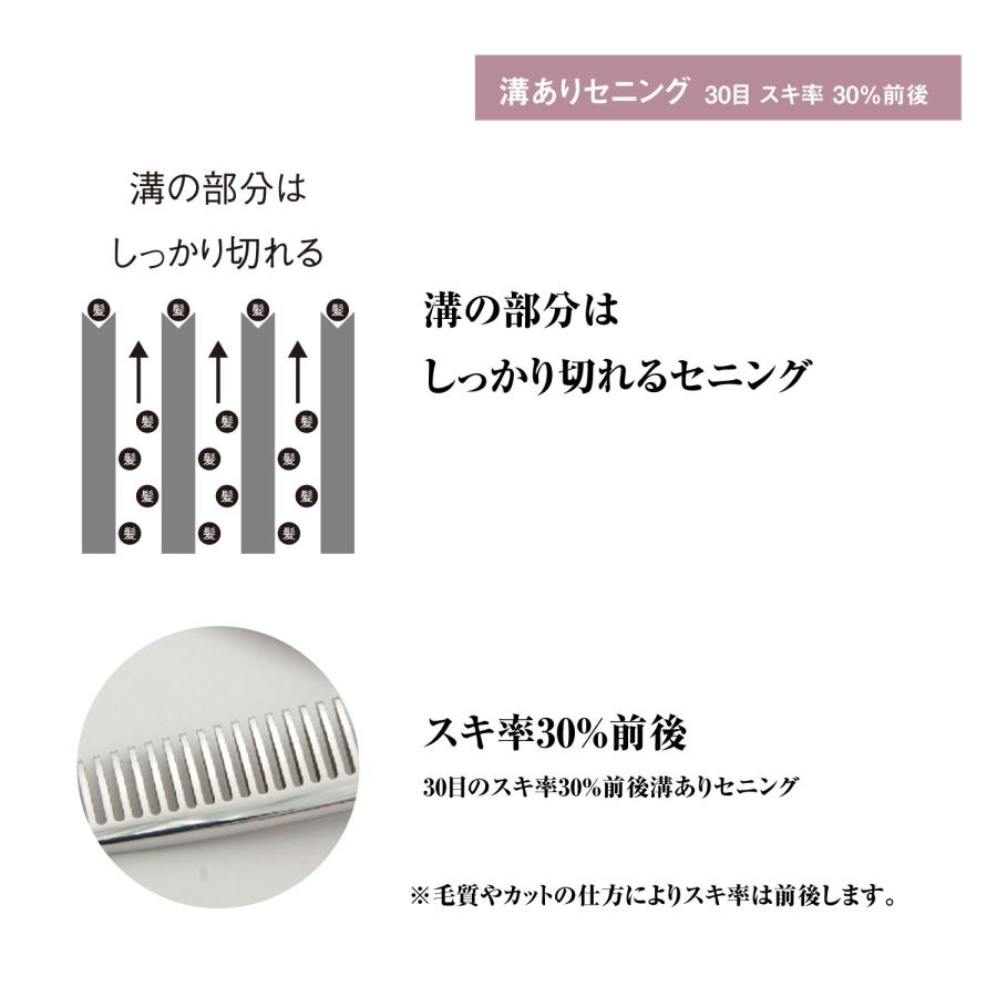 DEEDS プロ用 美容師 GSZ630IV セニング 30目V溝 (6.0インチ・スキ率30