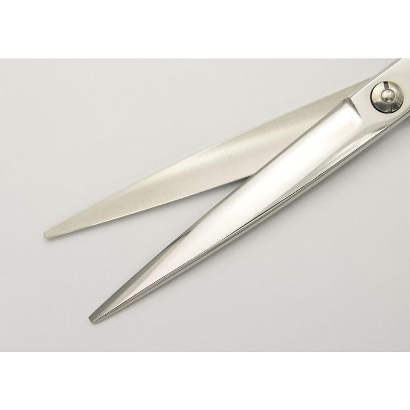 DEEDS プロ用 美容師 GDZ シザー (6.5インチ) メガネハンドル 日本の鋏