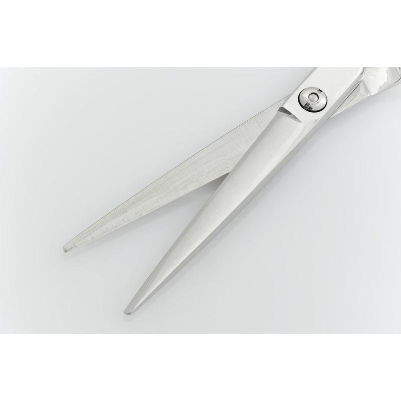 DEEDS プロ用 美容師 GTZシザー 5.5 6.0 6.25インチ 日本の鋏専門