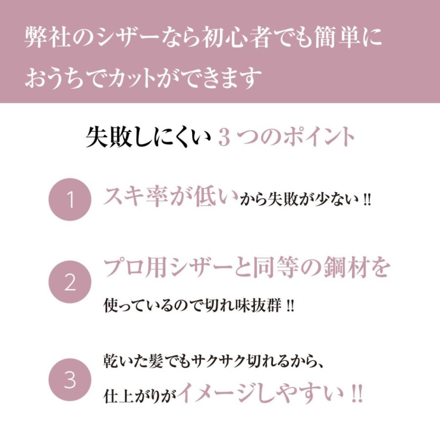 DEEDS 散髪 はさみ すきばさみ 家庭用 引っかからない HP-01 セニング