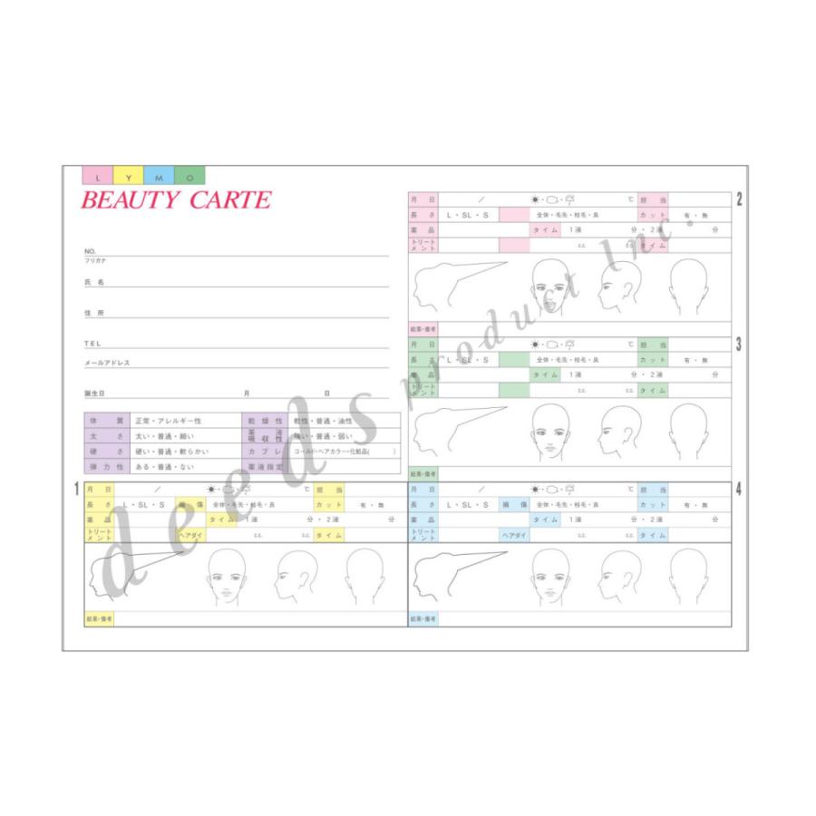 DEEDS 顧客カルテA 250枚 サロン カルテ エステ 美容室 カウンセリングシート | 