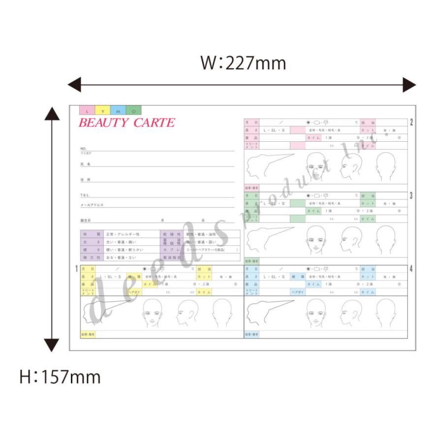 DEEDS 顧客カルテA 250枚 サロン カルテ エステ 美容室 カウンセリングシート |  | 01