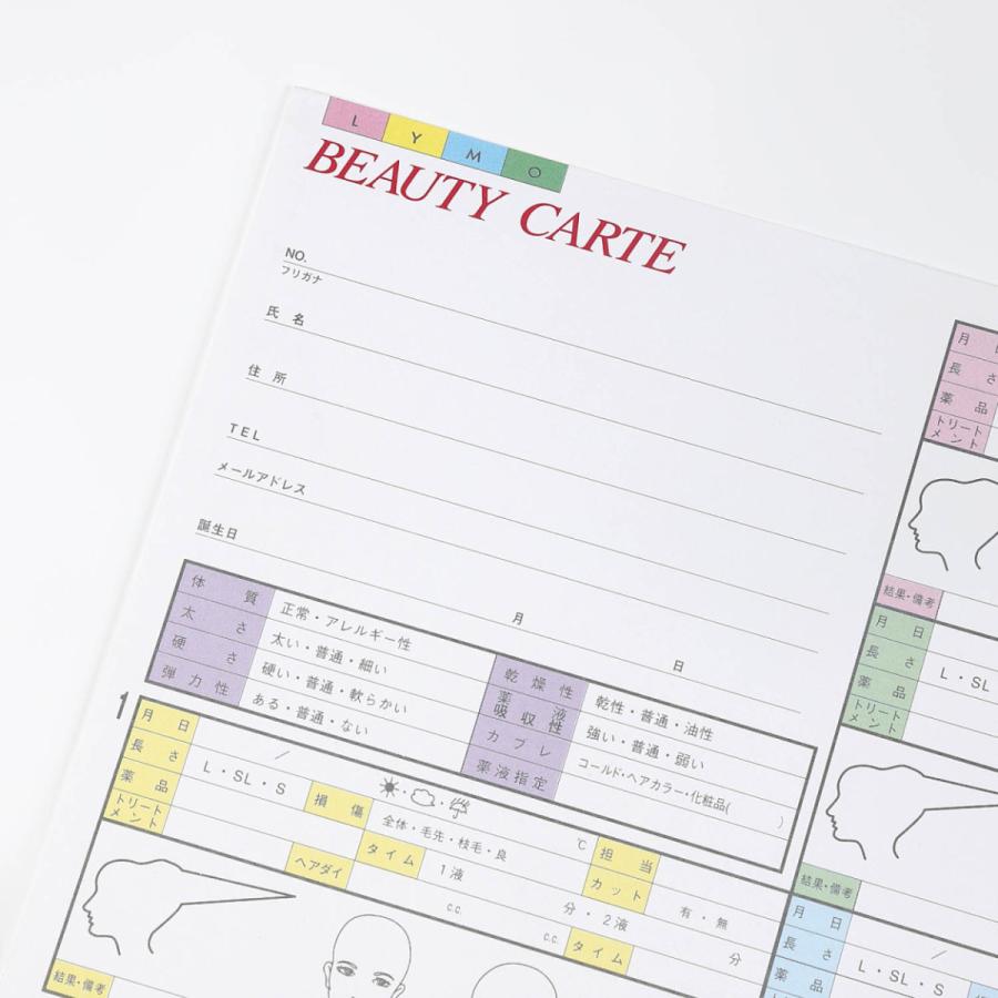 DEEDS 顧客カルテA 250枚 サロン カルテ エステ 美容室 カウンセリングシート |  | 03