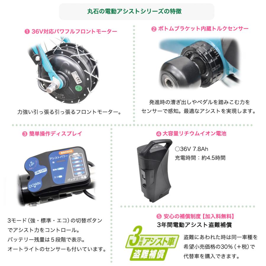 ペットポーターアシスト ASPET203Z 丸石サイクル ペット乗せ自転車 3段変速 BAA 自転車安全基準適合車 20インチ マルイシ 犬 グレイッシュミント×ブラック HK06｜dplus｜12