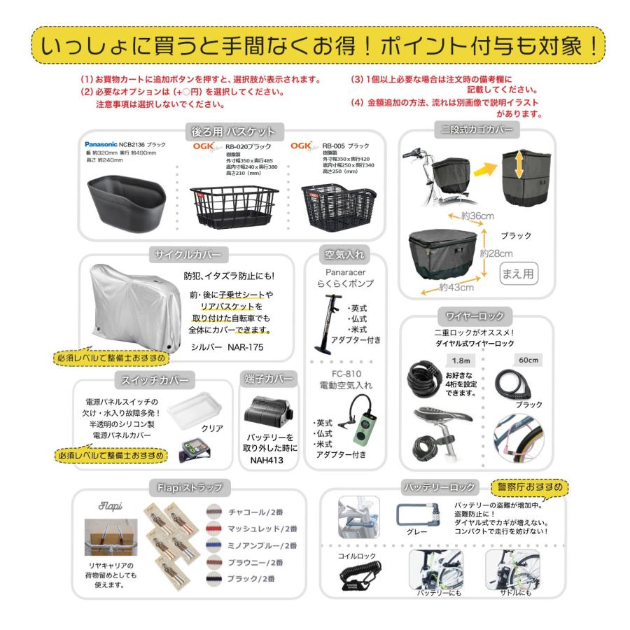 ViVi 送料無料 ※一部地域 ビビDX 2025年モデル BE-FD633 26インチ