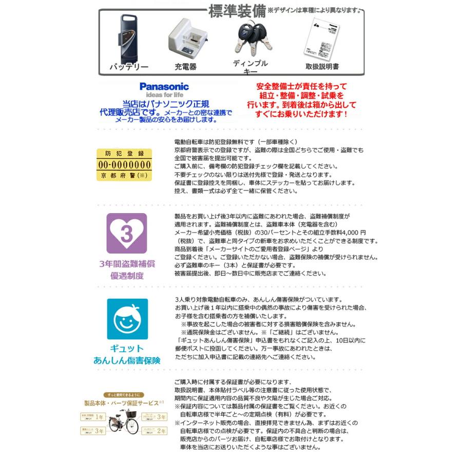 Panasonic 送料無料 ※一部地域 ギュット・クルームR・DX・20 BE