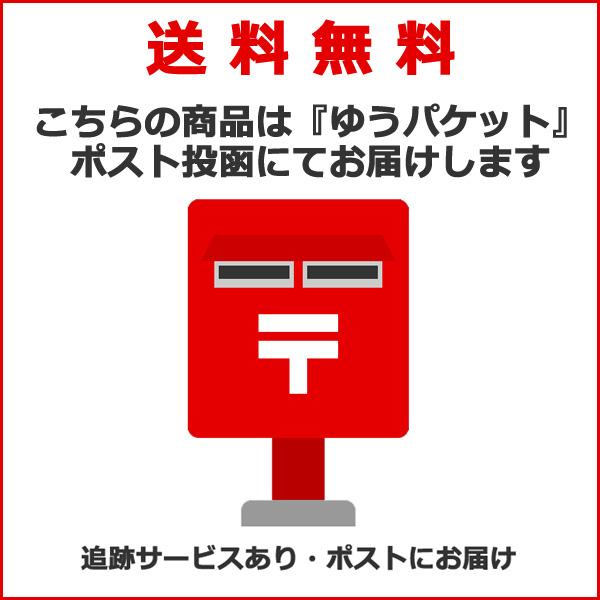 ＊当日発送 平日13時迄注文分＊ /ゆうパケットポスト投函/ PM-180 ミニロック コイルロック バッテリー サドル レインカバー  盗難防止 POPEYE 野口商会 op |  | 02