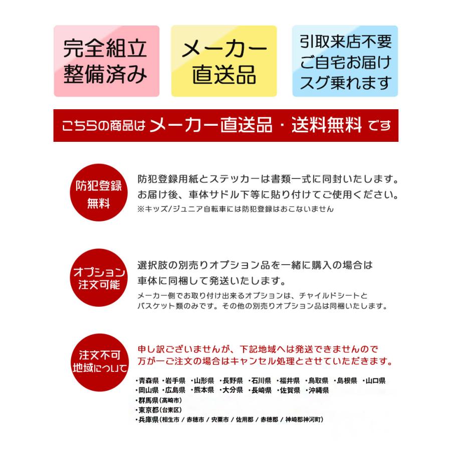 PELTECH（ペルテック） 電動自転車 子供乗せ PELTECH TDH-408LP 後ろ