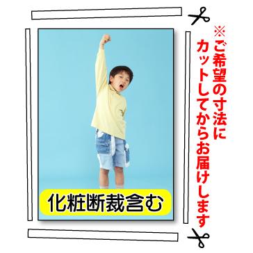 きらりんレボリューション 布 マルチクロス 布ポスター ③ A0 布 クロス ポスター 印刷 3営業日目出荷（標準・安い） 学会 同人