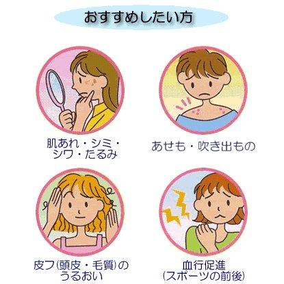 イリスエスリークお徳用（1.000ml）2本セット 海草抽出物