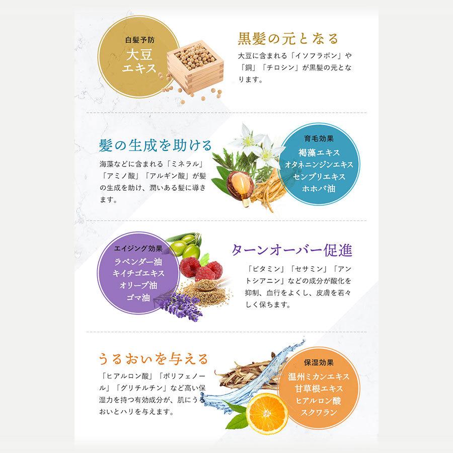 半額品 女性向け 頭皮ケア 頭皮美容液 Dr Touhi ドクタートウヒ 2本セット 最安値に挑戦 Atempletonphoto Com