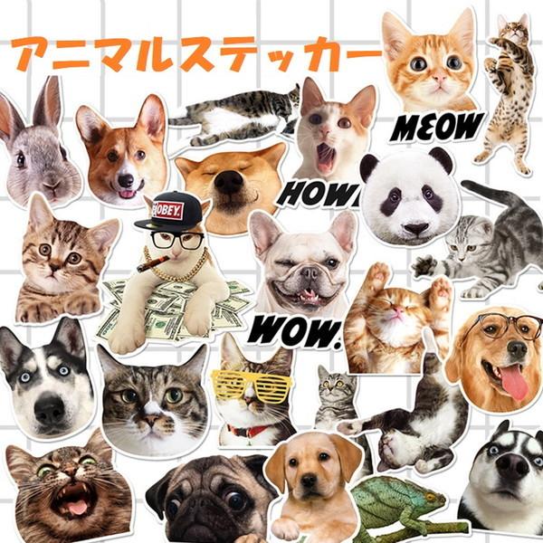 当店だけの限定モデル 超リアル 動物ステッカーt パンダ アニマル 防水 壁飾り 壁紙 はがせるシール Diy 壁 家具 トイレ デコ スーツケース などに Supplystudies Com