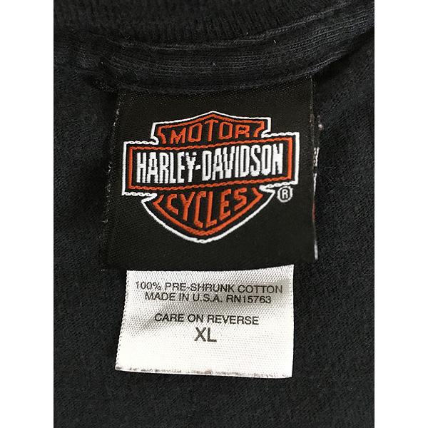 古着 00s USA製 HARLEY DAVIDSON イーグル ブルー ファイヤー パターン