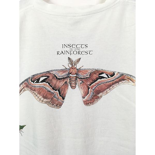 古着 90s USA製 蝶 蟻 カマキリ 幼虫 昆虫 マルチ アート Tシャツ XL 