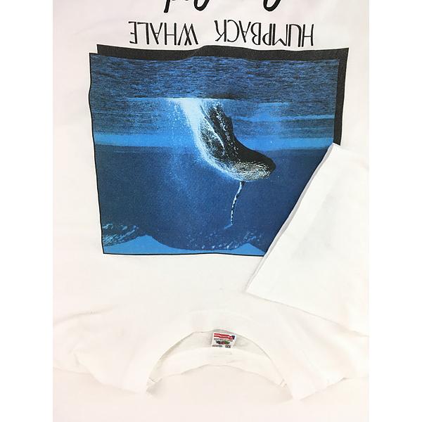 古着 90s USA製 Humpback Whale クジラ アニマル フォト Tシャツ