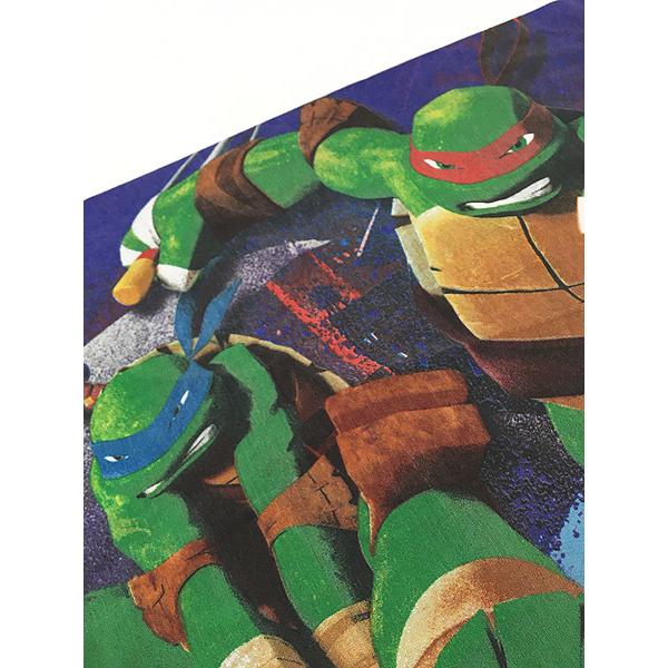 雑貨 古着 90s nickelodeon Teenage Mutant Ninja Turtles