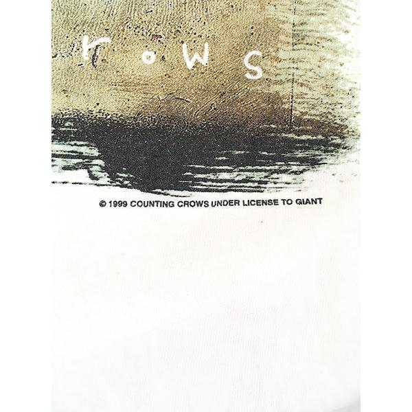 古着 90s COUNTING CROWS 「Tour 99」 This Desert Life 魚 アート ロック バンド Tシャツ L 古着 90s COUNTING CROWS 「Tour 99」 This Desert Life 魚 アート