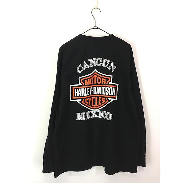 ハーレーダビッドソン　長袖カットソー　90s　ファイヤーイーグル　L　着用感XL 古着 90s HARLEY DAVIDSON ファイヤー イーグル バイク