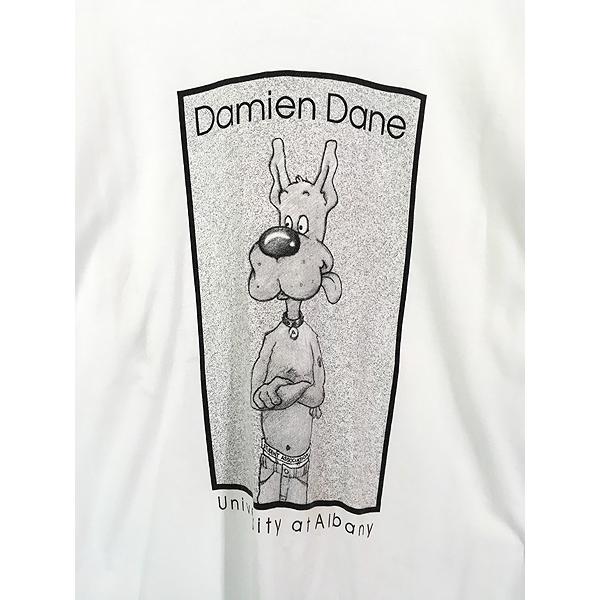 古着 90s USA製 Damien Dane University at Albany 両面 CK パロディー